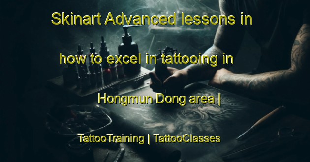 Skinart Advanced lessons in how to excel in tattooing in Hongmun Dong area | TattooTraining | TattooClasses | SkinartTraining-Republic of Korea